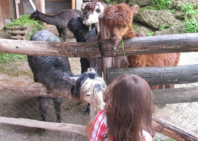 hellbrunn_zoo_12