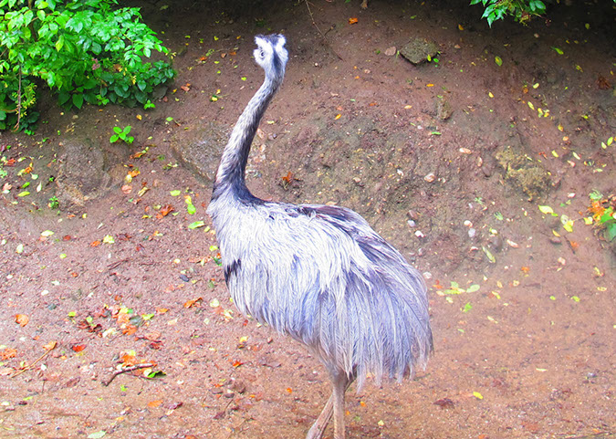 hellbrunn_zoo_18