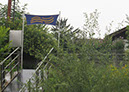 hellbrunn_zoo_04