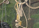 hellbrunn_zoo_30