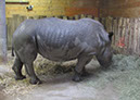 hellbrunn_zoo_45