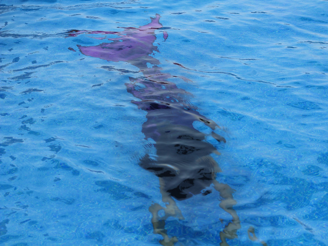 2015_aug_mermaid08