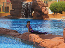 2015_aug_mermaid06