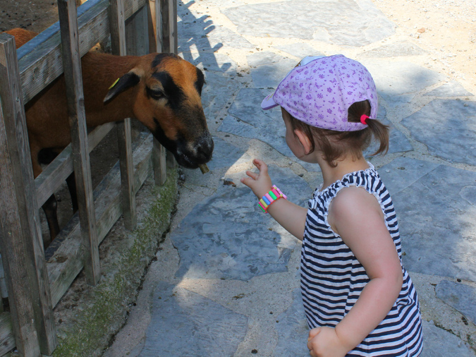 2015_aug_salzburg_zoo06