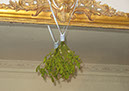 2011_christmas_eve_044
