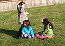 2011_dec_savill_garden_12