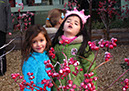 2011_dec_savill_garden_28