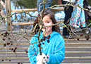 2011_dec_savill_garden_39