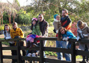 2011_dec_savill_garden_44
