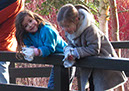 2011_dec_savill_garden_47
