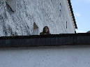 2014_dec_festung09