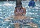 bali_pool_17