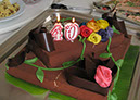 catarina_40th_072