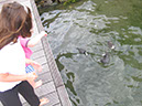 2012_jul_zell_am_see02