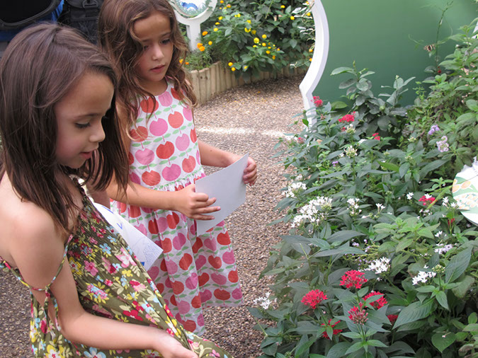 2013_jul_butterflies08