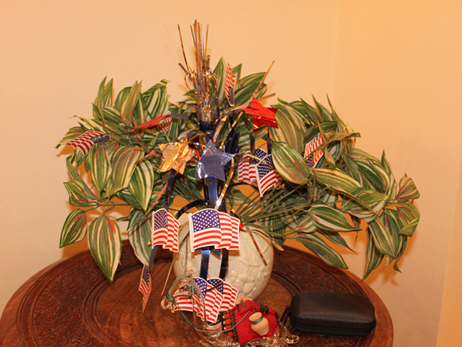 2014_jul_4_photo26