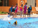 2015_jun_third_grade_pool_party13