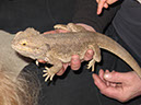 2012_mar_lila_4th_086