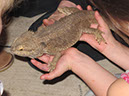2012_mar_lila_4th_091