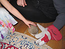 2012_mar_lila_4th_095