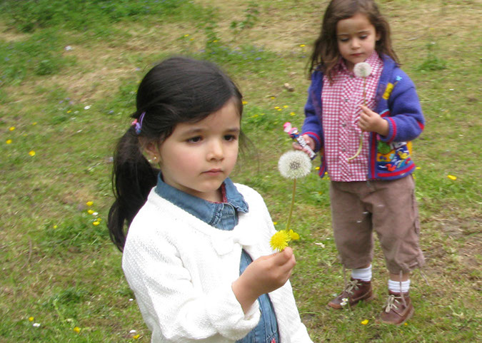 deen_farm_20