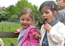 deen_farm_40
