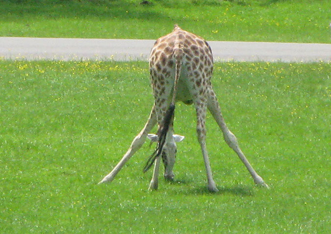 longleat_039