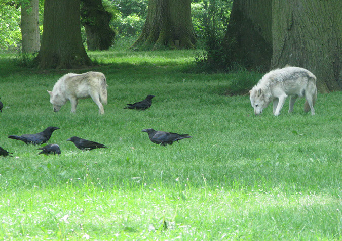 longleat_070