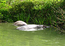 longleat_004