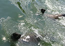 longleat_006