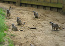 longleat_012