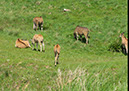 longleat_056