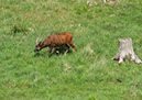 longleat_057