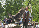 warwick_castle_42
