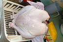 thanksgiving06_19