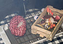 2011_halloween_50