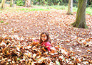 2011_oct_holland_park_20