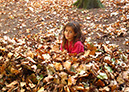 2011_oct_holland_park_21