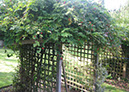 anneli_neil_housewarming_92